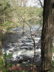 IMG 4617